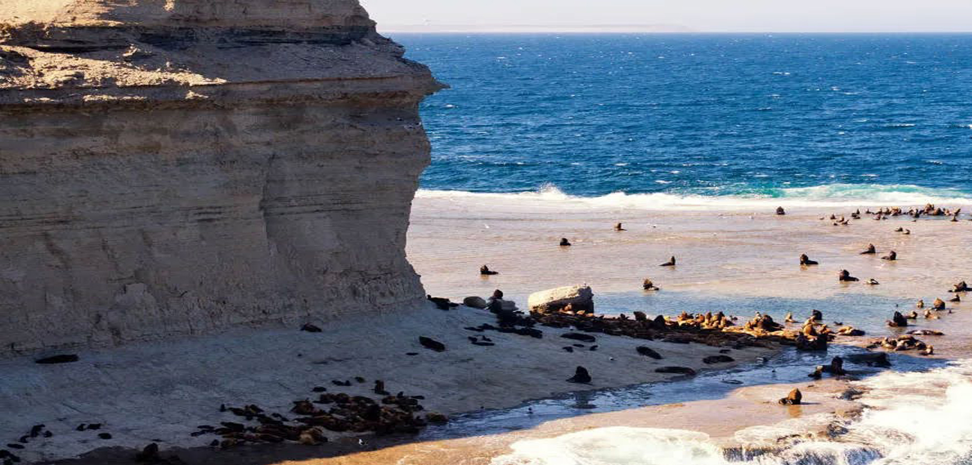 Puerto Madryn