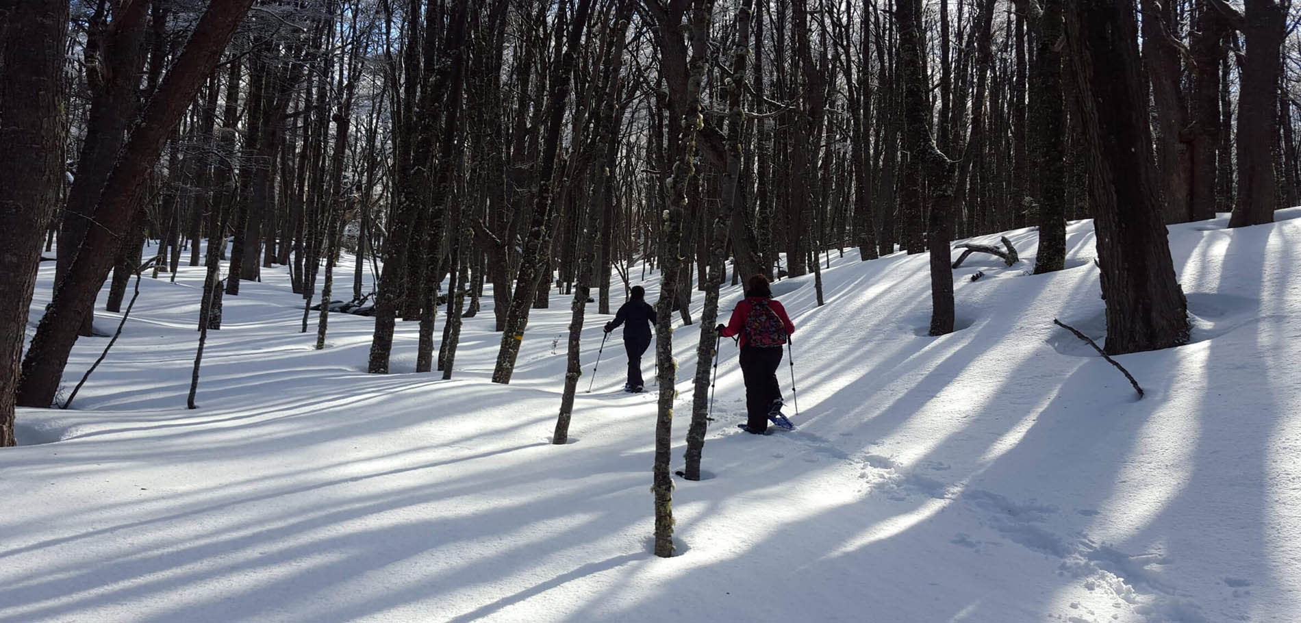 Full Day Nieve - 1